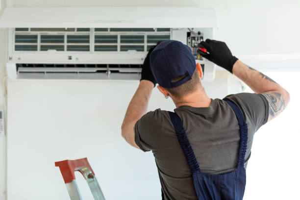 Best Air Duct Mold Removal  in Wolcott, IN