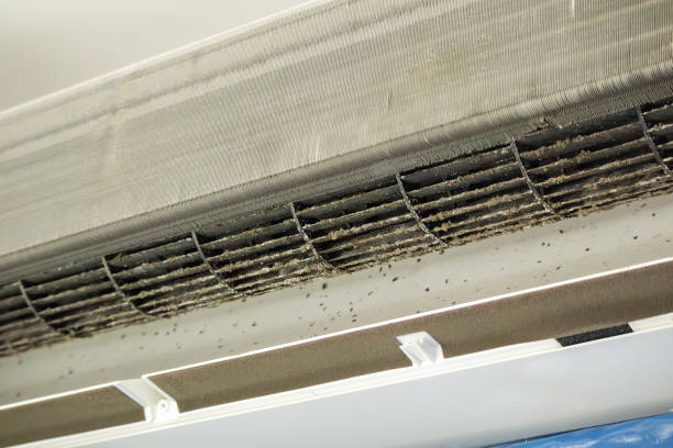 Best Air Vent Cleaning Services  in Wolcott, IN